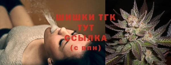 дживик Новозыбков