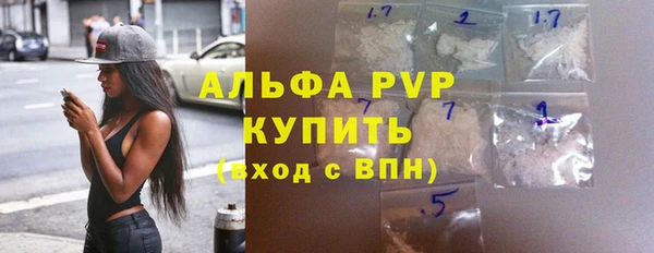 дживик Новозыбков