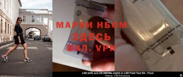 хмурый Няндома