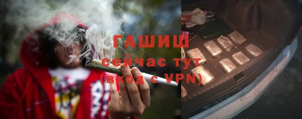 хмурый Няндома