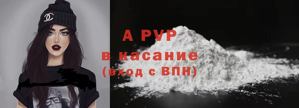 дживик Новозыбков